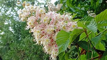 ����� � ����������: �� ������ �����, ����� � ������� ����������