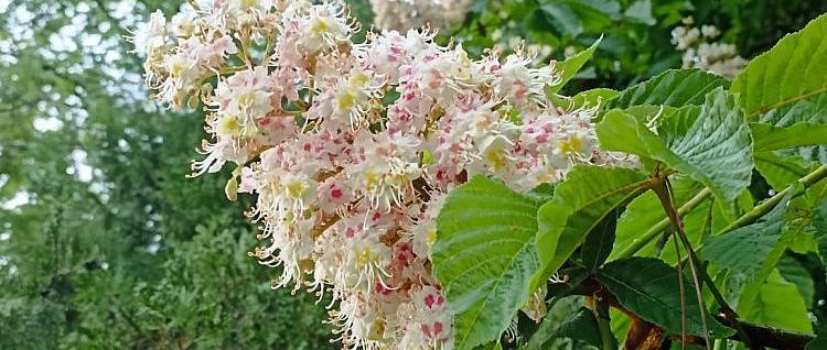 ����� � ����������: �� ������ �����, ����� � ������� ����������