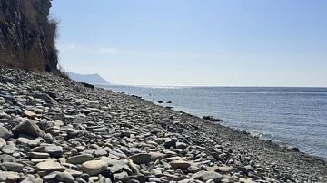 ������ �����! � ����� ������� � �������� ������ ������ - ���� ������ ��������