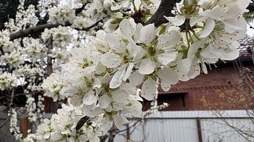 ������ ���������� ��������� ������: ��������������� ����� � ������ �����������