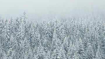 ���� ���������� ��� ������! ��� ���������� ���-�� �����: �������� ������ ������