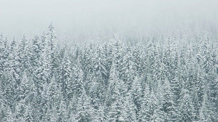 ���� ���������� ��� ������! ��� ���������� ���-�� �����: �������� ������ ������