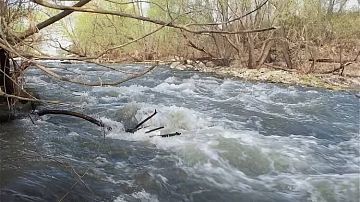 Внимание! Лаба и реки ее бассейна могут выйти из берегов на выходных