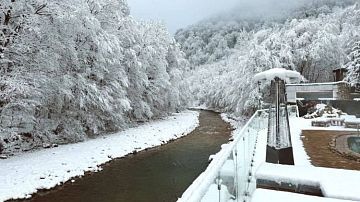 ���������, �����������, ����������� � ���������: ������� ��� �� ������ �������� �����