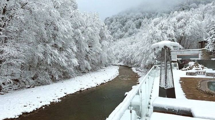 ���������, �����������, ����������� � ���������: ������� ��� �� ������ �������� �����