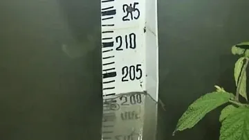 ������! ��������� ���������� ������� �� ������: ������� ���� ����� ����� � �������� ������
