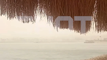 �����! ���������� �������� ���� �������� � ������: ��������� ������, �������������� ����������