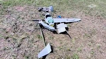 ���! ������ �� �����! ������� ��������  ������������ ������� �������� ������ �� ������