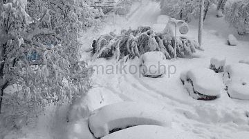 ���� ����������� ������: ��������� �� �����, ������ ������, ������ ������, ����� ��� 