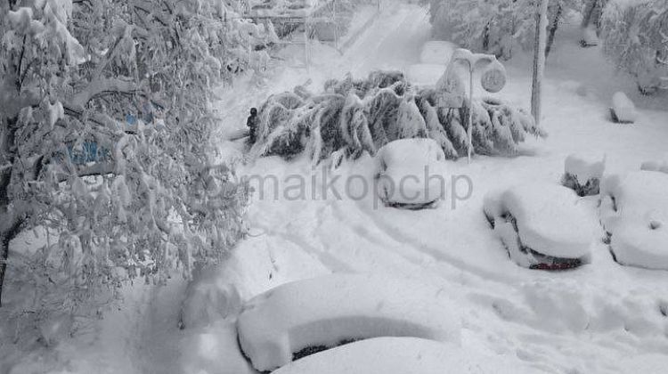 ���� ����������� ������: ��������� �� �����, ������ ������, ������ ������, ����� ��� 