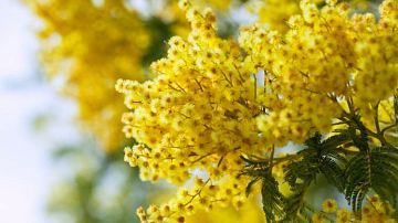 ����� ������ ������ �����������! � ���� ������� ������