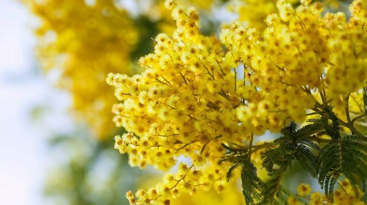 ����� ������ ������ �����������! � ���� ������� ������