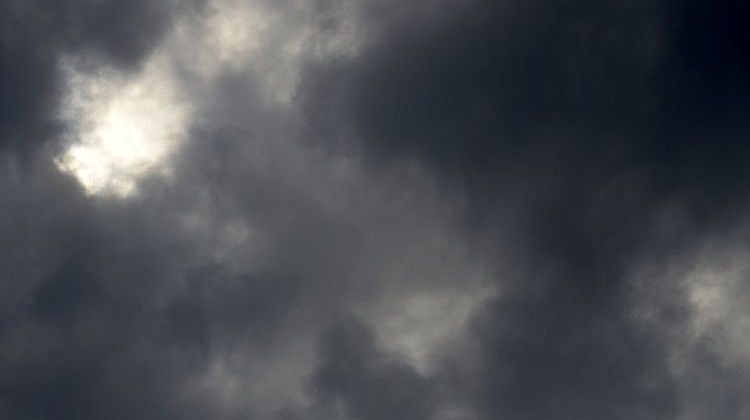 ������ �������� ����� ������: ������� ������ ��� �����������, ��� �������� � ����������, �������� ��������� � ������������� 