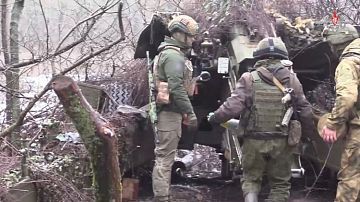 ������ �� ���� 23 �������! ����� ������ � �������� ����: ���������� ������ ���������, ������� ����������� � �������