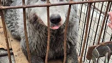 ������������� ������! � ������ ������������ ������ ���� ���� � �����: ��������� �������� ��������