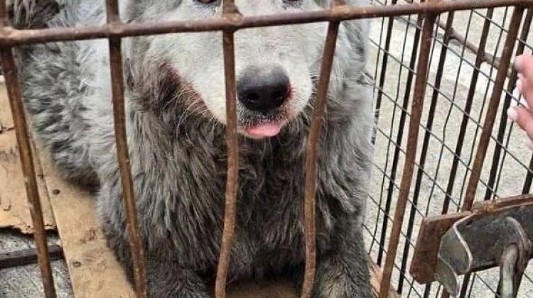 ������������� ������! � ������ ������������ ������ ���� ���� � �����: ��������� �������� ��������