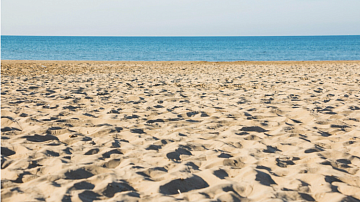 ����� �����? ����� ������ ����� ����� ������� ��� ���� �����: �����������