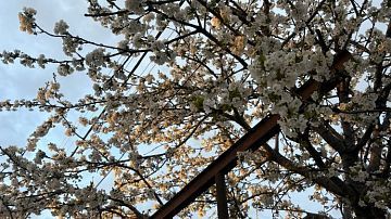 ���������! ������ ����� �������: �� ������ ����������� ����� � ����� ������