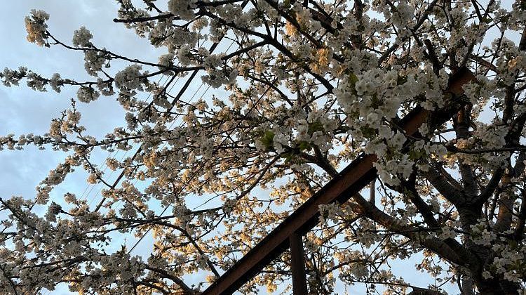 ���������! ������ ����� �������: �� ������ ����������� ����� � ����� ������