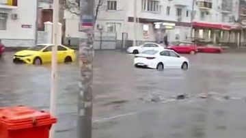     :  ,   