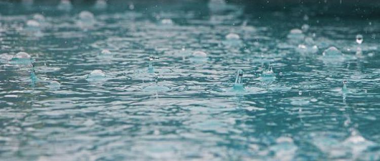 ��� ������� ������� �������� ����������� ����� 