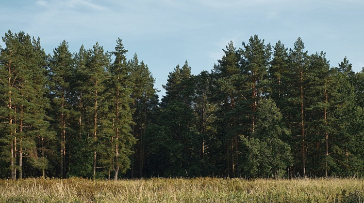 ��������! �� ������ ������� ������� ���� ����� �� ����������� ������