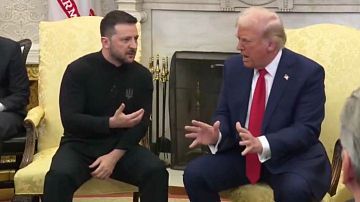 Европа в недоумении: Трамп очарован Путиным, Зеленский в ярости
