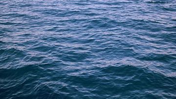 Срочно!  Что натворили ВСУ: в случае избыточного накопления воды пострадает Харьковская область?