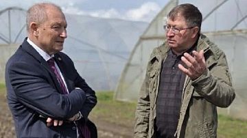 ������ ��������. ������ � �������� ���� ���� �� ����