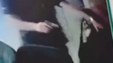   :      