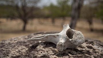 �� ������ ������ ���������� �� ������ ��� �������: ��������