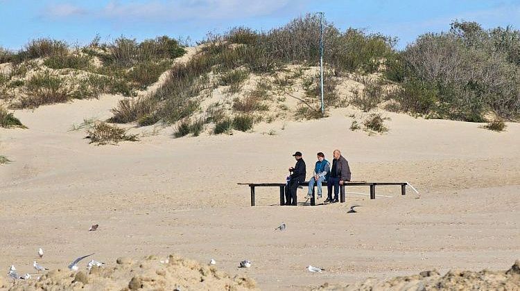 ������! ��������� ���������� ����������� ���� � ������ ����: ����� ��������� ������������