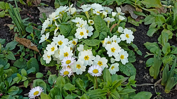 �����������! ������ �� 8 ����� �� ������: � ��� ������� �����������? 