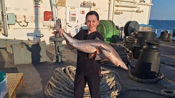 ������� �� ������� � � �������