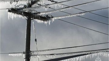 ���������! ����� ���������� ������� �� ������! � ��� ������ - 9-14 �����