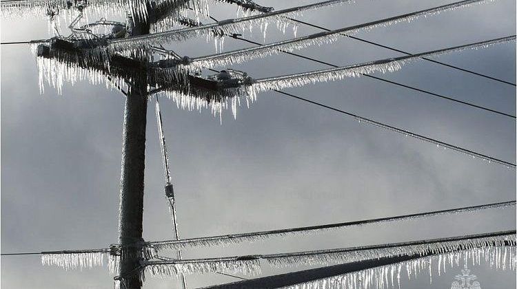 ���������! ����� ���������� ������� �� ������! � ��� ������ - 9-14 �����