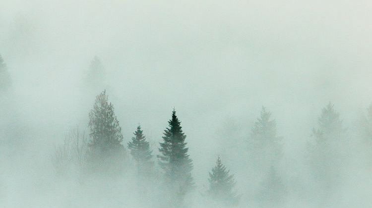 ������ �� 9 ������! ����� � ����������� � ������������, �������� ��� ��������� ������������