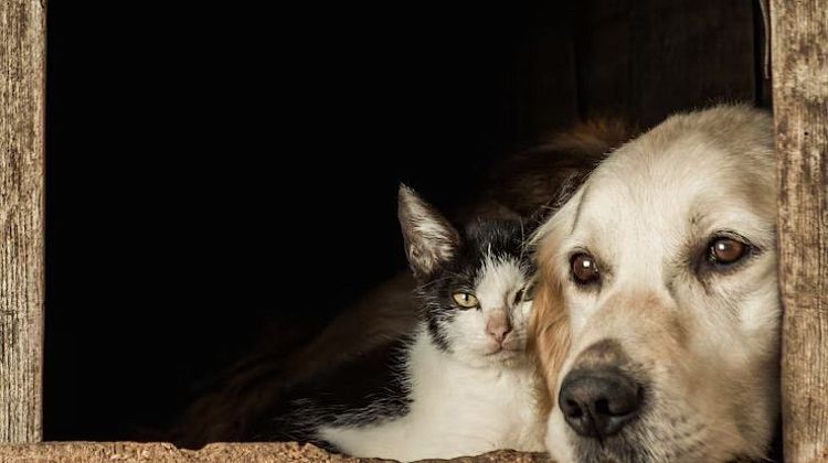    :      3,5   