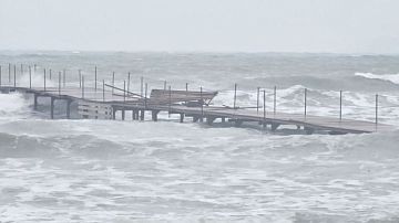 ������������ ����� ������ ���������! �������� ����� ���� �� �����