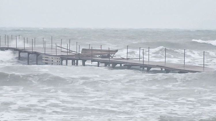 ������������ ����� ������ ���������! �������� ����� ���� �� �����