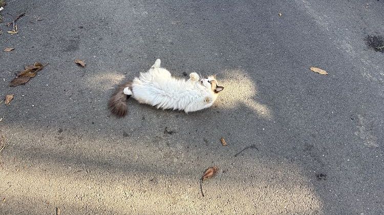 ������ ���������� �� ������: ������ ���������� �� +22 ��������