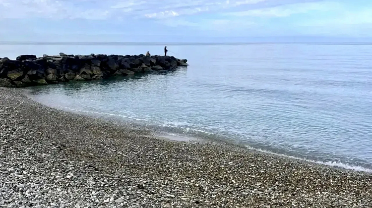 ������ �� �������� ����� �� ����: ������ ������ � ������� � ����