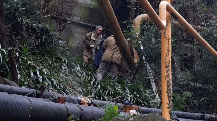 ������! ��� ��������� ������������ � �������� ����� ����� ����� ����� 