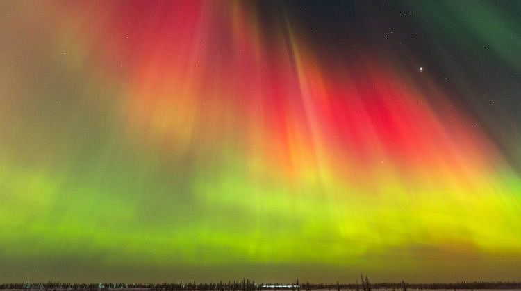 ������� ������ ��������� ����! �����������: �����, ���������, ������ � �������� � ����������� ���������