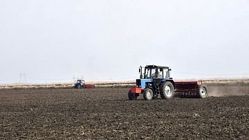 ������ ��������. �������-������� ������: ���������� ����� ����!