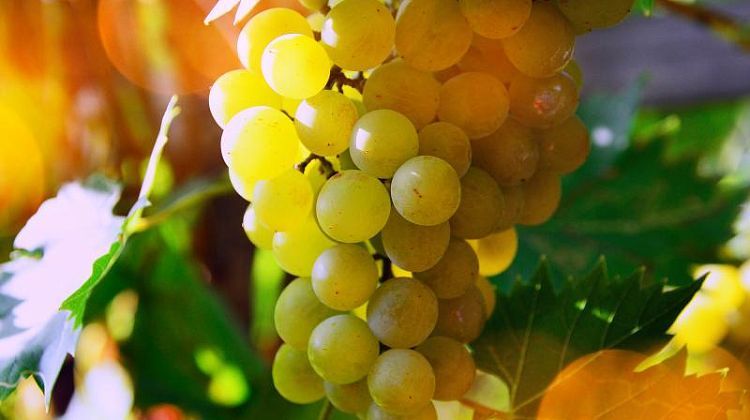 ������: ��������� ������ ��������� � ����� ����� ��� � 2025 ����