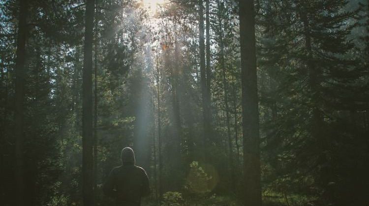 ����� ����������! ��� �������� ����������� ����� ��� ������ �������