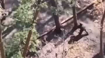    ,   !     FPV  ,     
