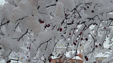 ������ ����, �������, ������! �� ������ �� ����� ���� ��������� ������������ ������