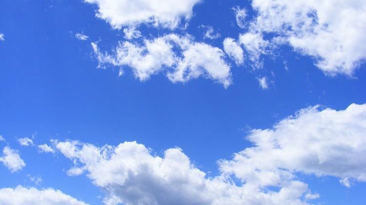 � ����� ������� ������� �����, �������� �� ��������� �����: 171 ������